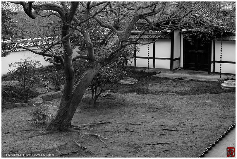 Black and white moss garden, Hoko-ji temple, Kyoto, Japan