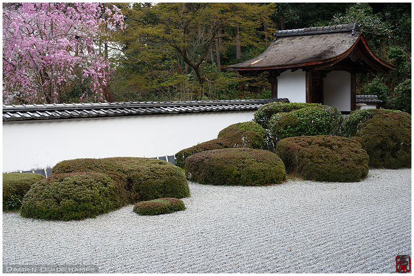 Shōden-ji (正伝寺)
