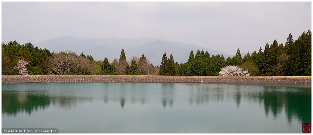 Green water reservoir near Jinzo-ji temple, Kyoto, Japan