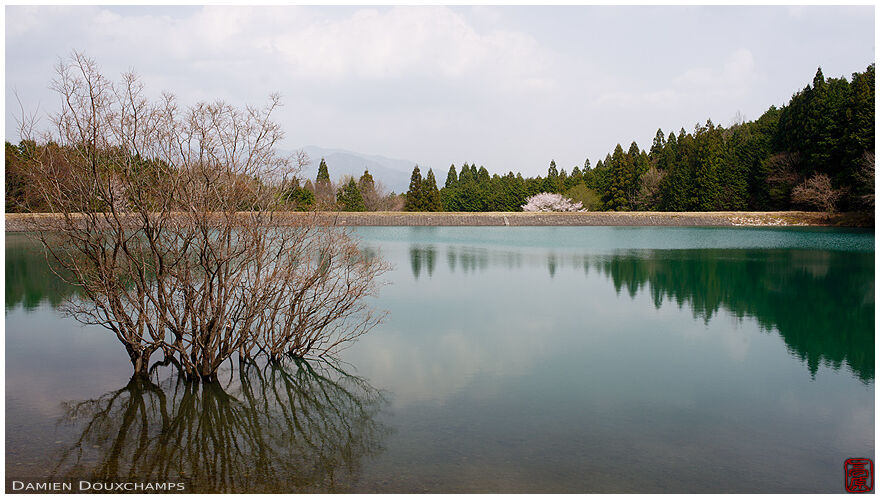 Dam lake near Jinzo-ji temple, Kyoto, Japan