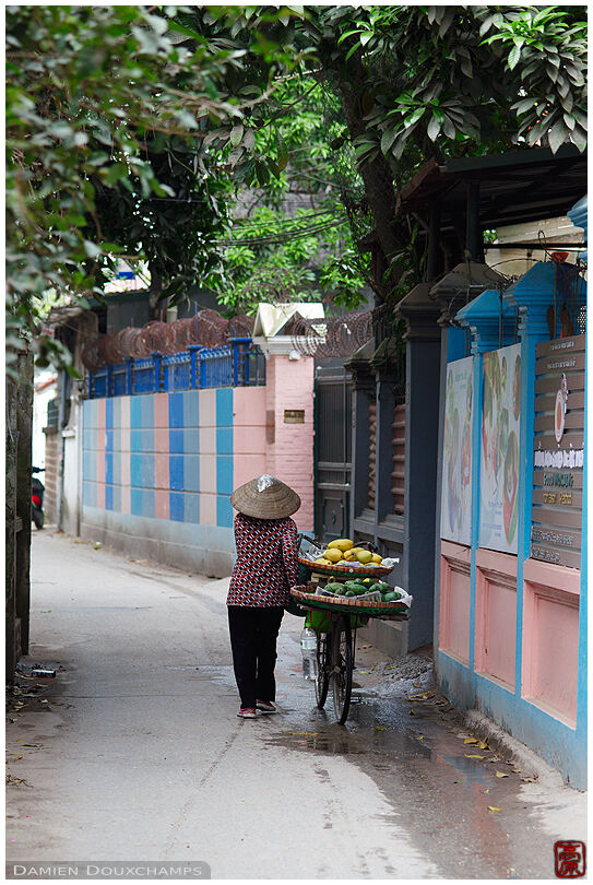 Woman with straw hat selling fruits on her bicycle in a side street of Hanoi, Viet Nam