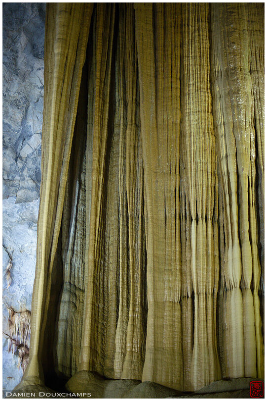 Calcite drapes in the Paradise cave, Viet Nam