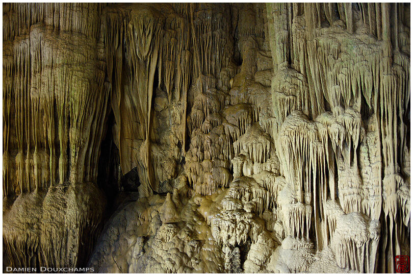 The walls of the most impressive Paradise cave, Dong Hoi, Viet Nam