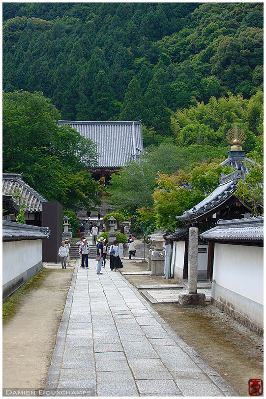 Main alley leading to Yata-dera temple hall, Nara, Japan