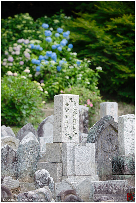 Gathering of discarded tombstones in Yatadera temple, Nara, Japan