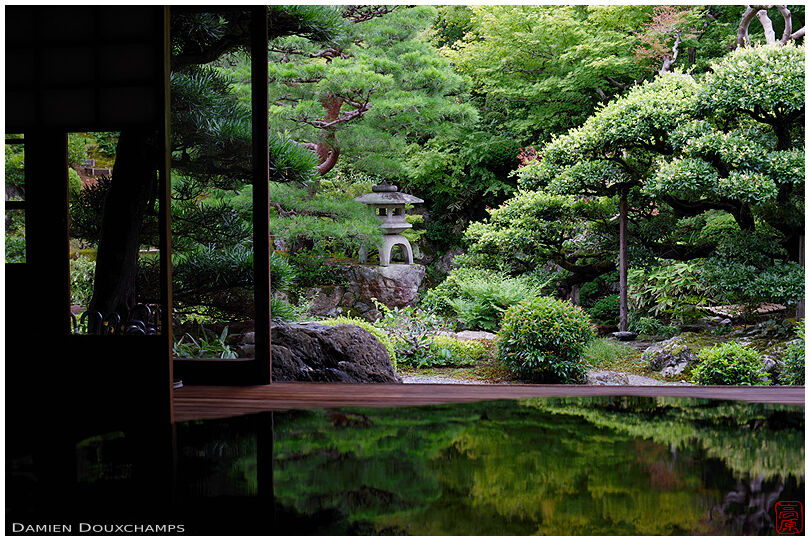 Stone lantern lost in busy green garden, Omuro residence, Kyoto, Japan