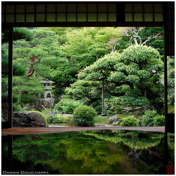 Reflection of a lush green garden in the Omuro residence, Kyoto, Japan