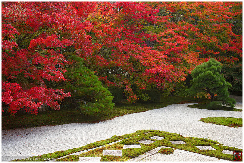 Perfect red autumn colours around the rock and moss garden of Tenju-an temple, Kyoto, Japan