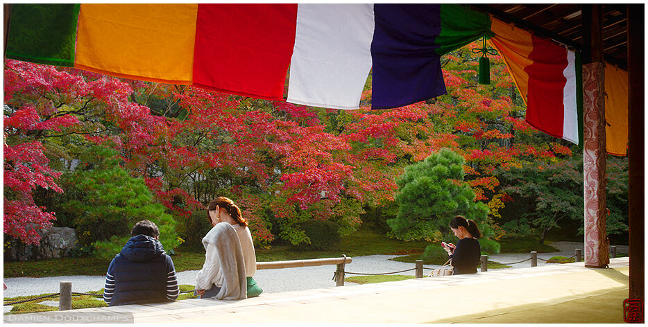 Visiting the autumn garden of Tenju-an temple, Kyoto, Japan