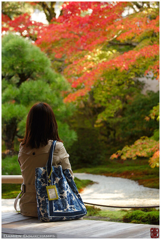 Female admiring the autumn colors of Tenju-an temple, Kyoto, Japan