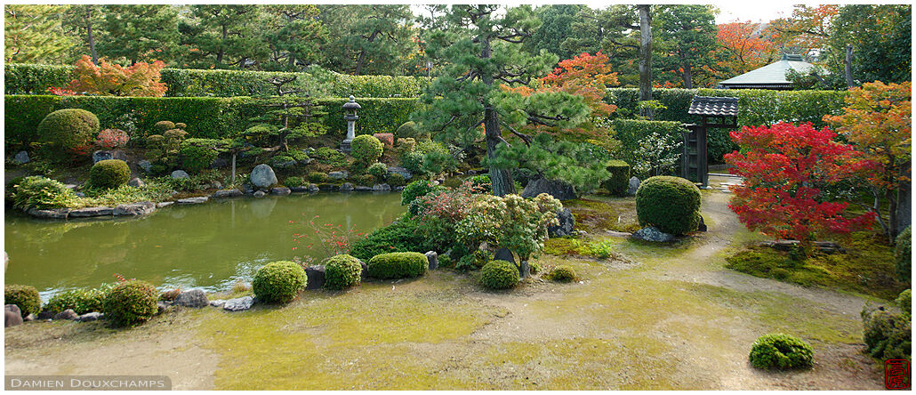 A rare view of Kyusho-in temple garden, Kyoto, Japan