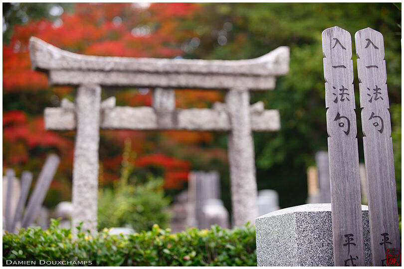 Gorinto-shaped memorial plaques and large stone torii gate in the cemetery of Konkaikomyo-ji temple, Kyoto, Japan
