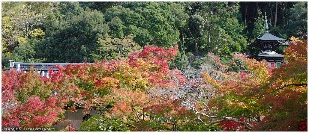 Autumn colors and pagoda, Eikan-do temple, Kyoto, Japan