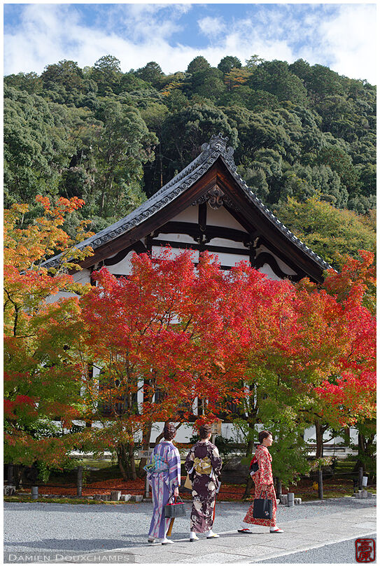 Ladies in kimono during autumn in Eikan-do temple, Kyoto, Japan