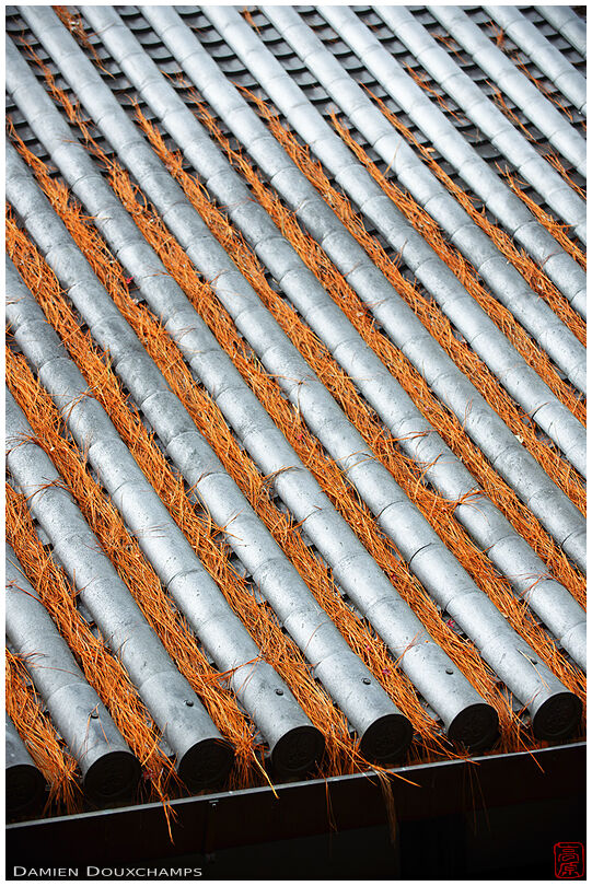 Pine needles filling roof patterns, Eikan-dō temple, Kyoto, Japan