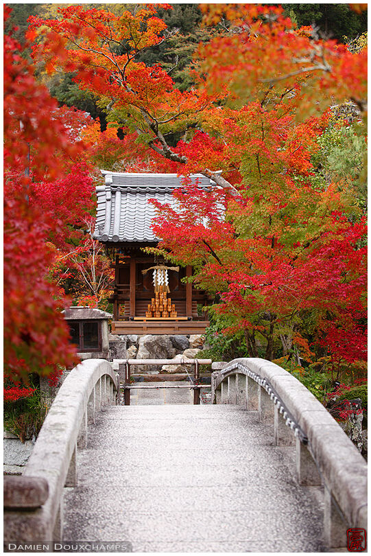 Stone bridge leading to small altar surrounded by red maple foliage, Eikan-do temple, Kyoto, Japan