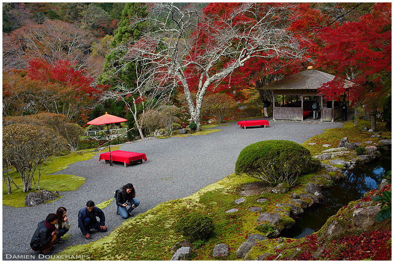 Visitors getting a lesson on the different kind of moss in Hakuryu-en garden, Kyoto, Japan