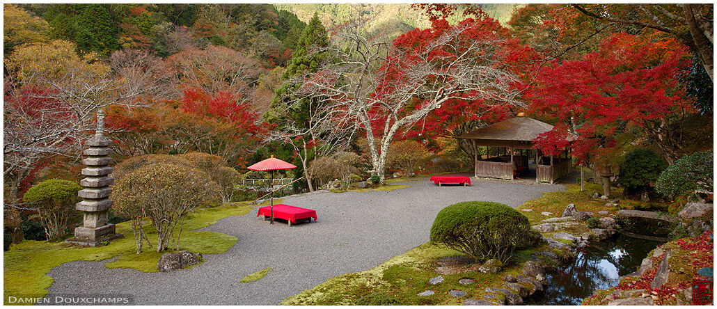 Bright red autumn colors in the Hakuryu-en garden in the north of Kyoto, Japan