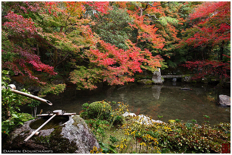 The little pond garden of Renge-ji temple and its tsukubai surrounded by autumn colours, Kyoto, Japan