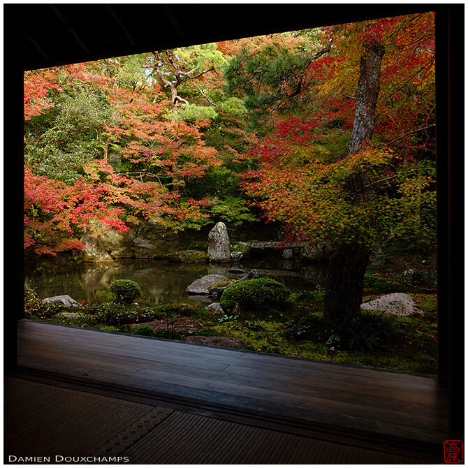 First autumn colours in the pond garden of Renge-ji temple, Kyoto, Japan
