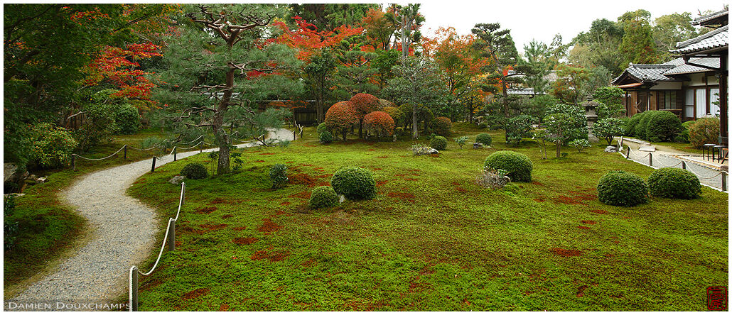 Moss garden, Sokushu-in temple, Kyoto, Japan