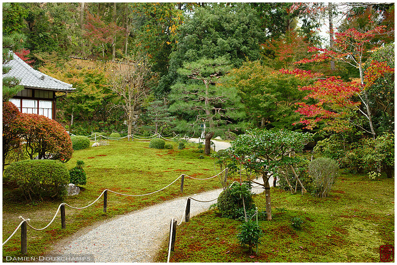 Path winding in moss garden, Shokushu-ji temple, Kyoto, Japan
