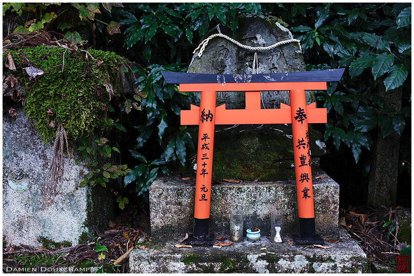 Small torii as votive offering in derelict shrine, Kyoto, Japan