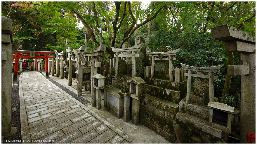 Red wooden torii gate among grey stone torii, Goshanotaki shrine, Kyoto, Japan