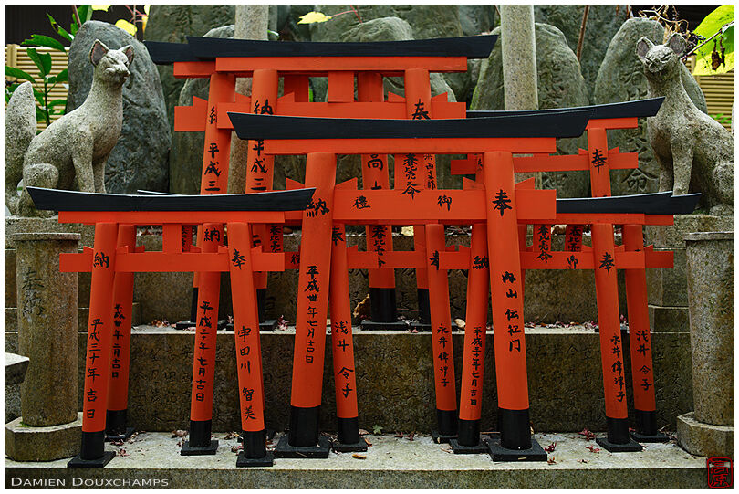 Miniature red torii gate offerings in the Goshanotaki shrine, Kyoto, Japan