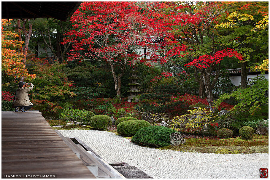 Sennyu Ji 泉涌寺