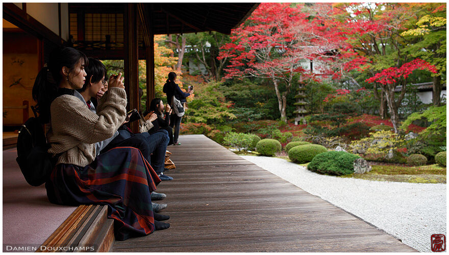 Visitors enjoying the autumn colors in Sennyū-ji temple, Kyoto, Japan