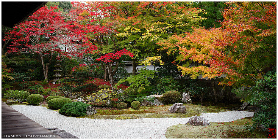 Autumn colours over the rock garden of Sennyu-ji temple, Kyoto, Japan