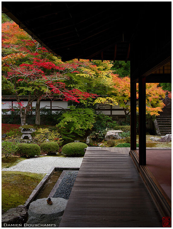 Varied autumn colours in the garden of Sennyu-ji temple, Kyoto, Japan
