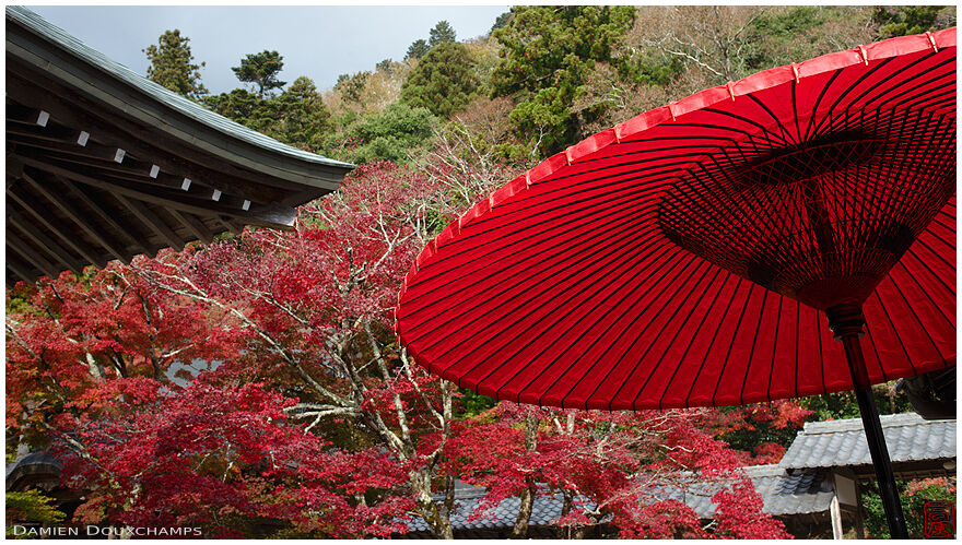 Traditional red umbrella, Eigen-ji temple, Shiga, Japan