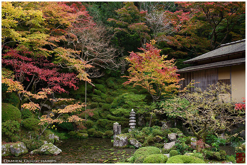 Early autumn colors around the pond of Kongorinji temple gardens, Shiga, Japan