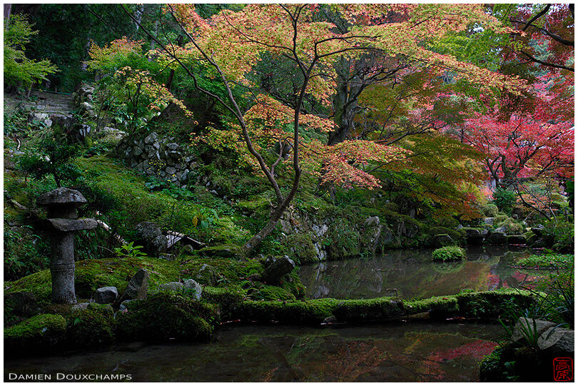 Autumn colors over mossy pond and narrow stone bridge, Kongorin-ji temple, Shiga, Japan
