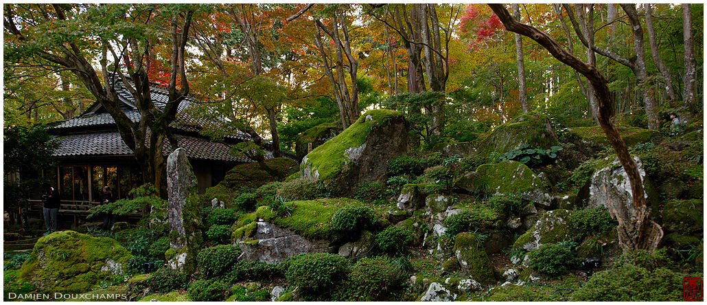 Moss-covered stones and early autumn colours in Kyorinbo, Shiga, Japan