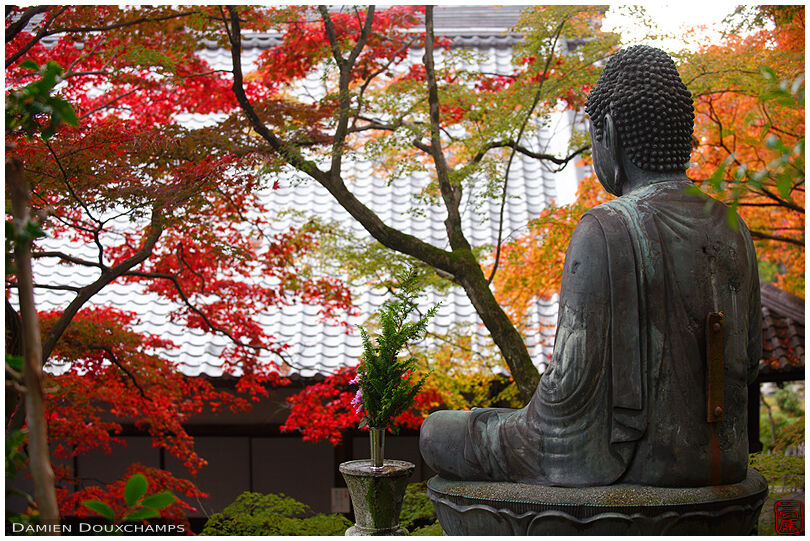Buddha statue surrounded by autumn colours, Eisho-in temple, Kyoto, Japan