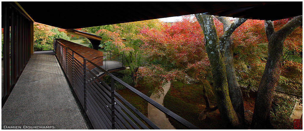 Autumn colours in the garden of the Heian-kyo museum, Kyoto, Japan