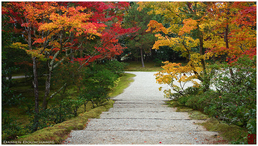 Path among autumn colors, Shugakuin imperial villa, Kyoto, Japan