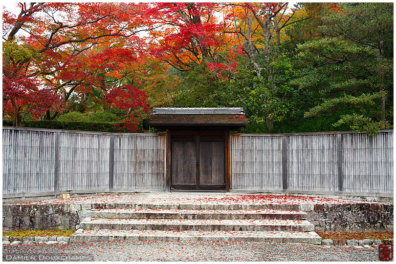 Autumn colors at the entrance to the inner area of the Shūgaku-in imperial villa, Kyoto, Japan