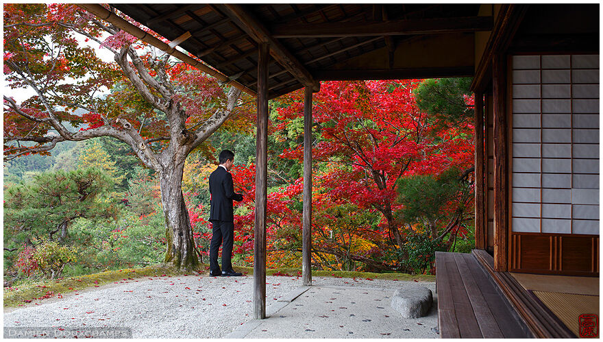 Peak autumn colours in the Shūgaku-in Imperial Villa, Kyoto, Japan