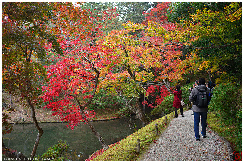 Group of visitors enjoying autumn colours in the Shugakuin imperial villa, Kyoto, Japan