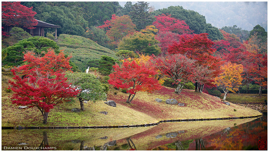 Autumn colors and heron around the pond of the Shugaku-in villa gardens, Kyoto, Japan