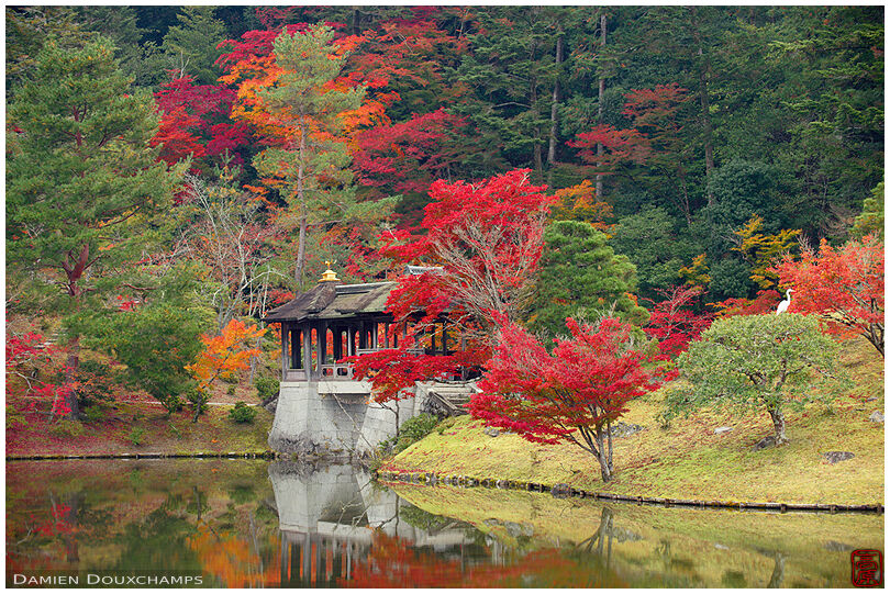 Covered bridge in autumn, Shūgaku-in Imperial Villa, Kyoto, Japan