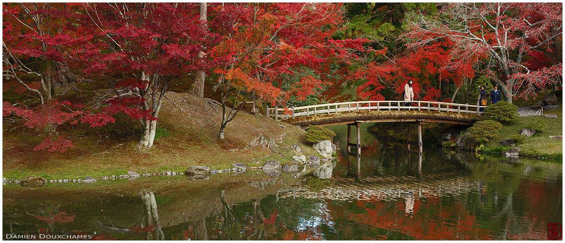 Visitor on bridge in Sento Imperial Palace gardens, Kyoto, Japan