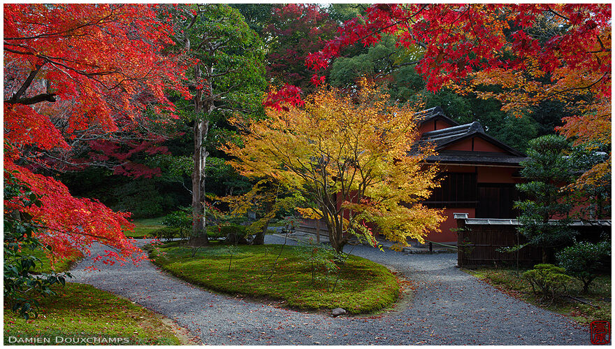 Bright autumn colors in a corner of the Sento Imperial Palace, Kyoto, Japan