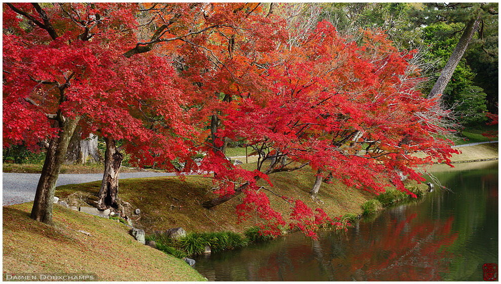 Kyoto Photography