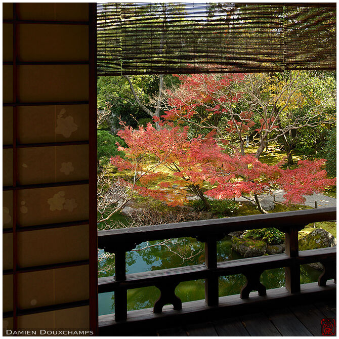 Autumn colors from the second floor of the lovely Shūsui-tei tea house in the Imperial Gardens, Kyoto, Japan