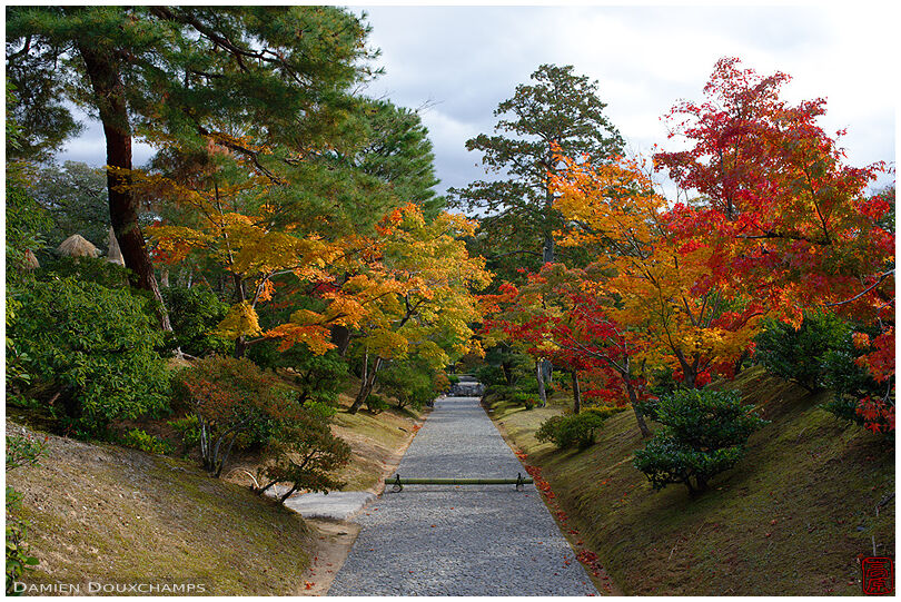Main entrance path bordered by autumn foliage in the Katsura imperial villa, Kyoto, Japan